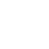 Fennec Pattern